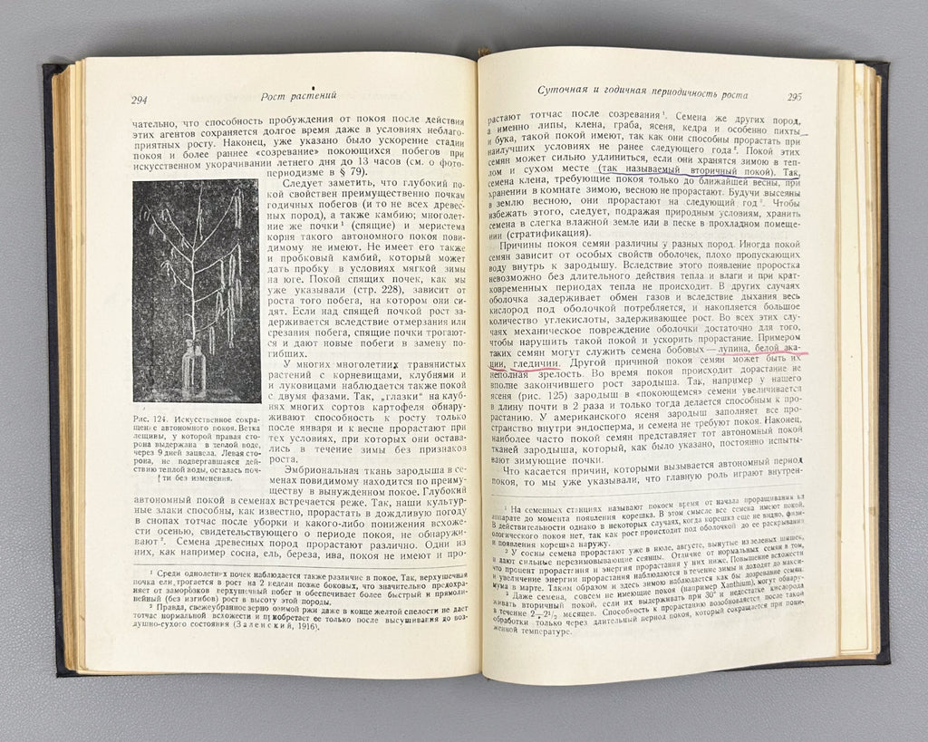 Ivanov, L. A. Plant Physiology (Fiziologiya rasteniy), 1936. In Russian.