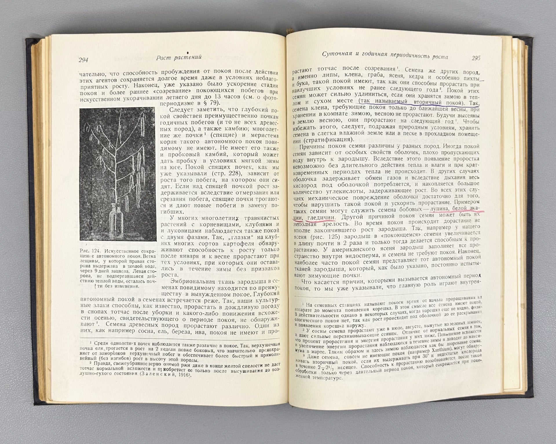 Ivanov, L. A. Plant Physiology (Fiziologiya rasteniy), 1936. In Russian.