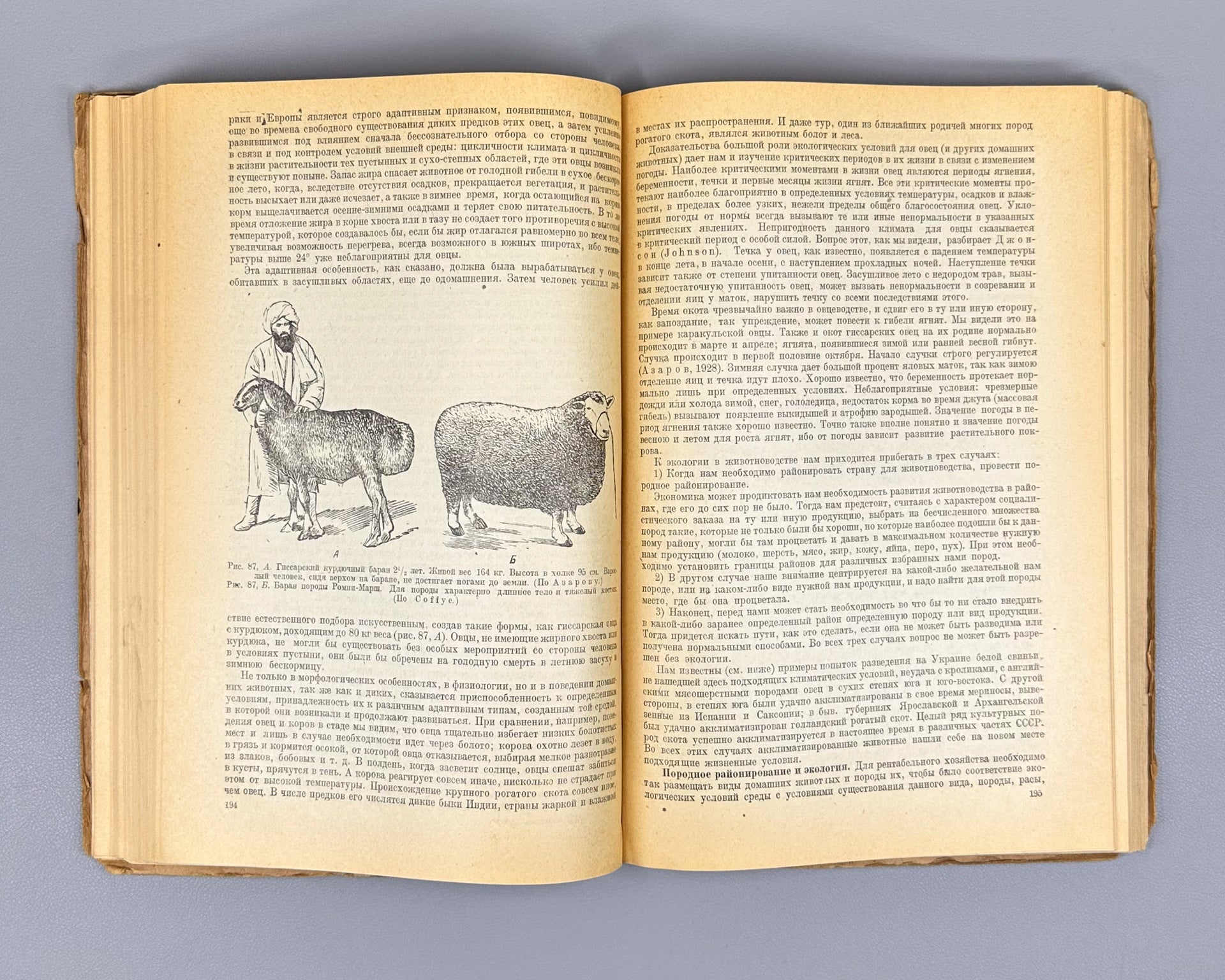 Kashkarov, D. N. Fundamentals of Animal Ecology (Osnovy ekologii zhivotnykh), 1944. In Russian.
