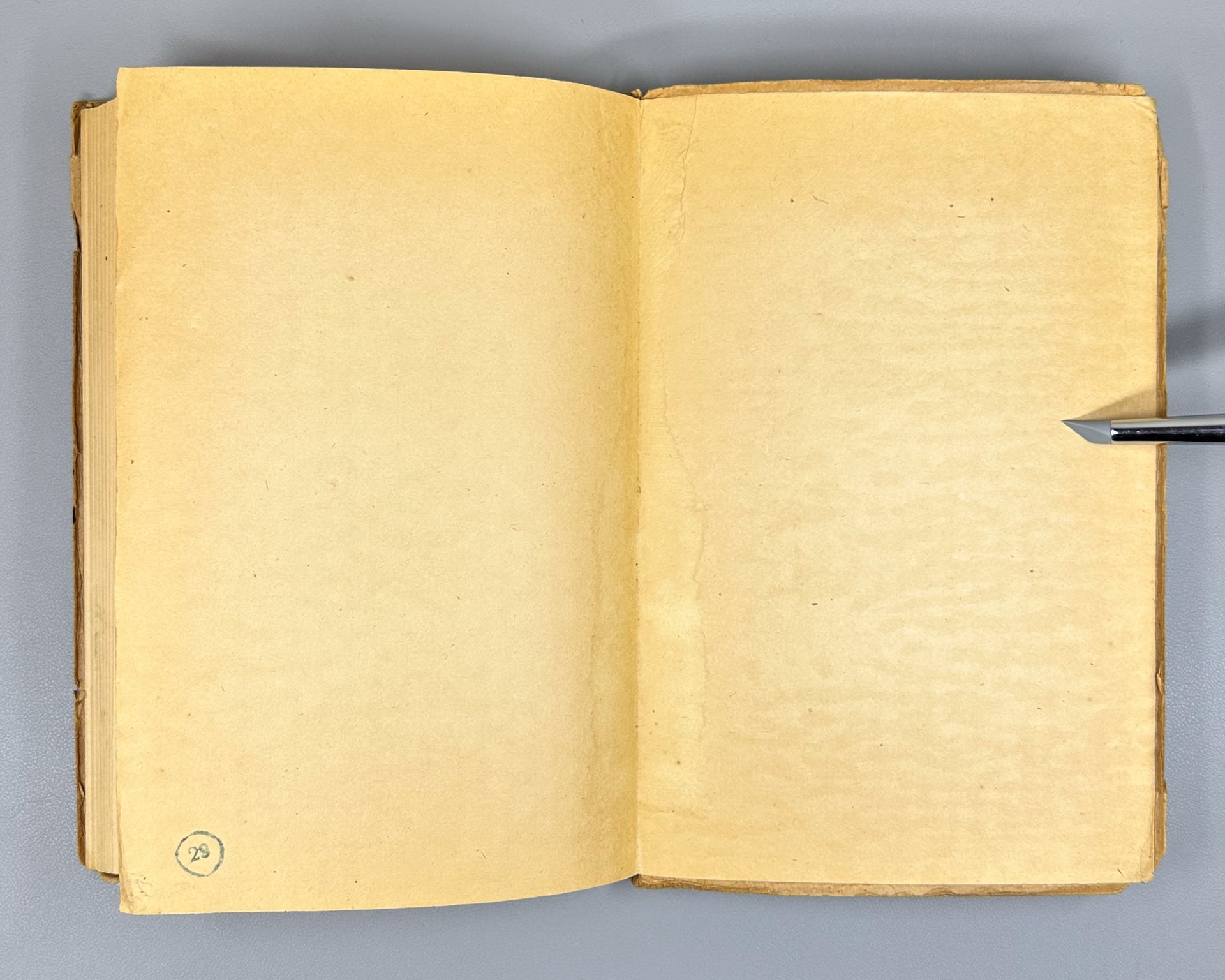 Kashkarov, D. N. Fundamentals of Animal Ecology (Osnovy ekologii zhivotnykh), 1944. In Russian.