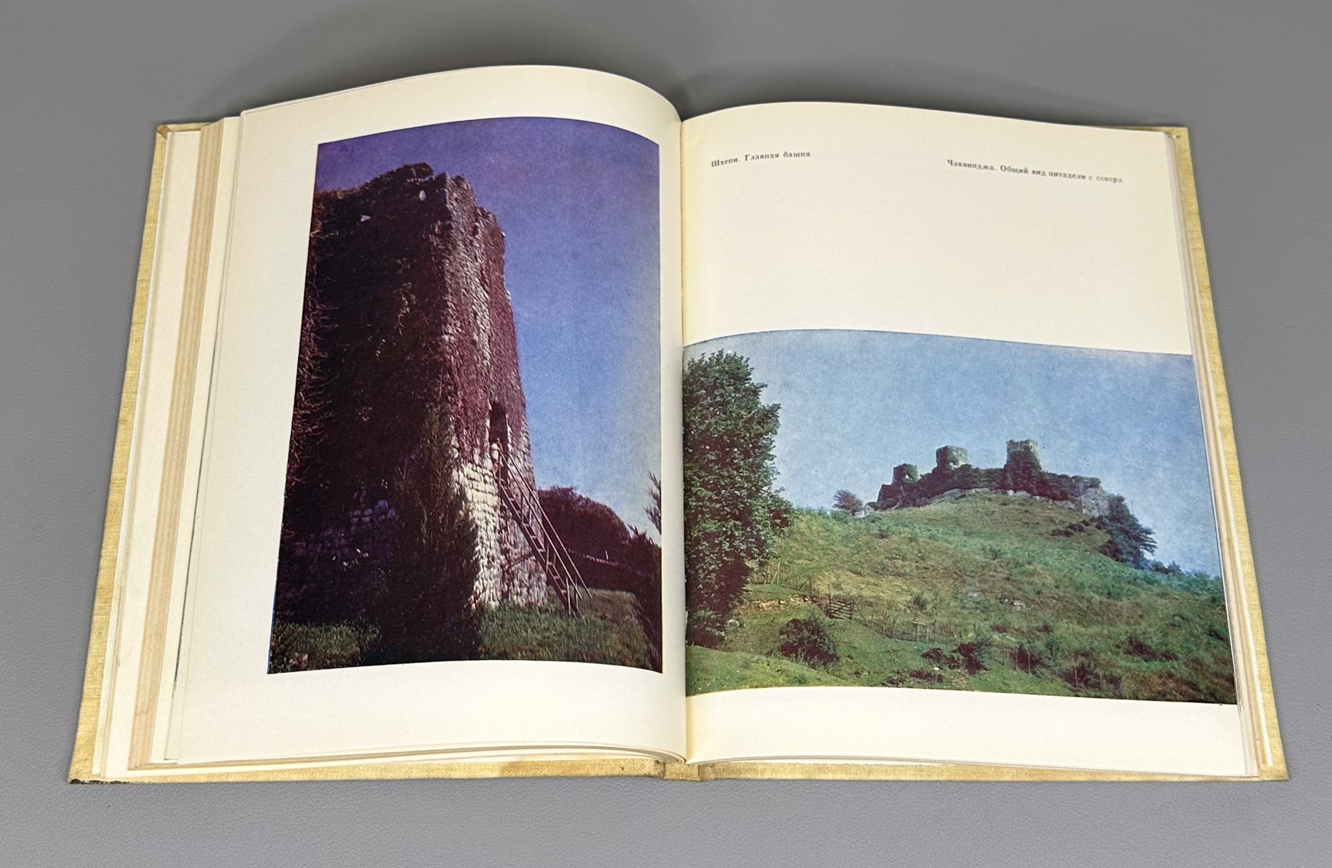 Zakaraya, P. Ancient Cities and Fortresses of Georgia (Drevniye goroda i kreposti Gruzii), 1982. In Russian.