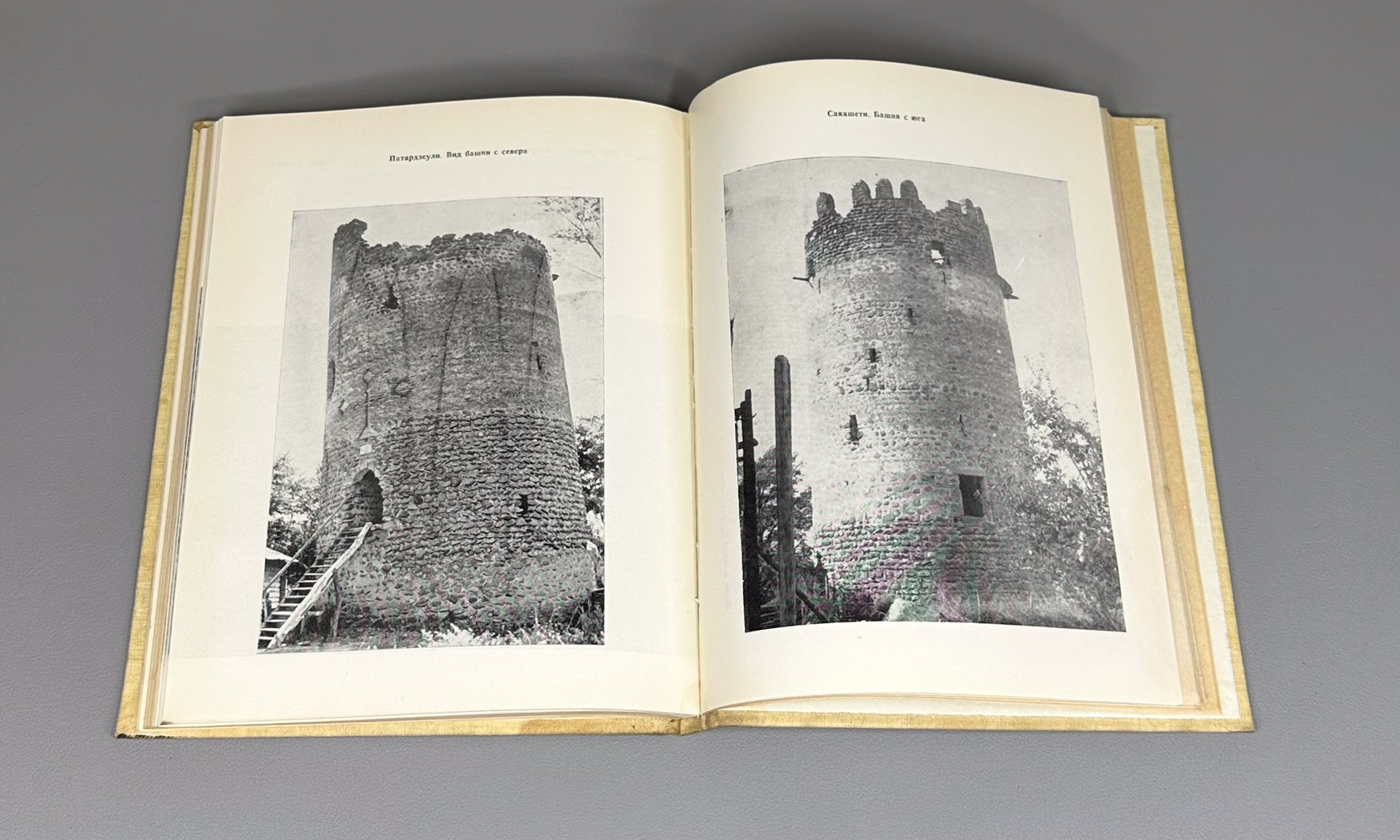 Zakaraya, P. Ancient Cities and Fortresses of Georgia (Drevniye goroda i kreposti Gruzii), 1982. In Russian.