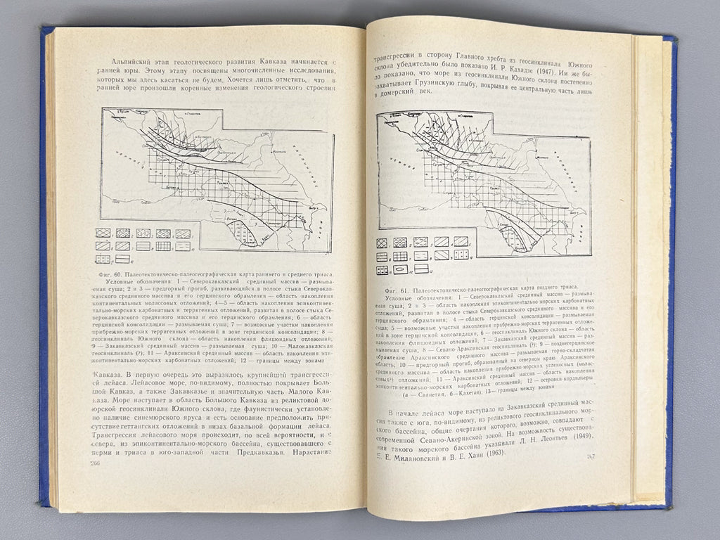 Adamiya, Sh. A. Pre-Jurassic Formations of the Caucasus (Doyurskiye obrazovaniya Kavkaza), 1968. In Russian.