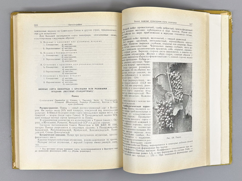 Nedelchev, N., Kondarev, M. Viticulture (Vinogradarstvo), 1959. In Russian.