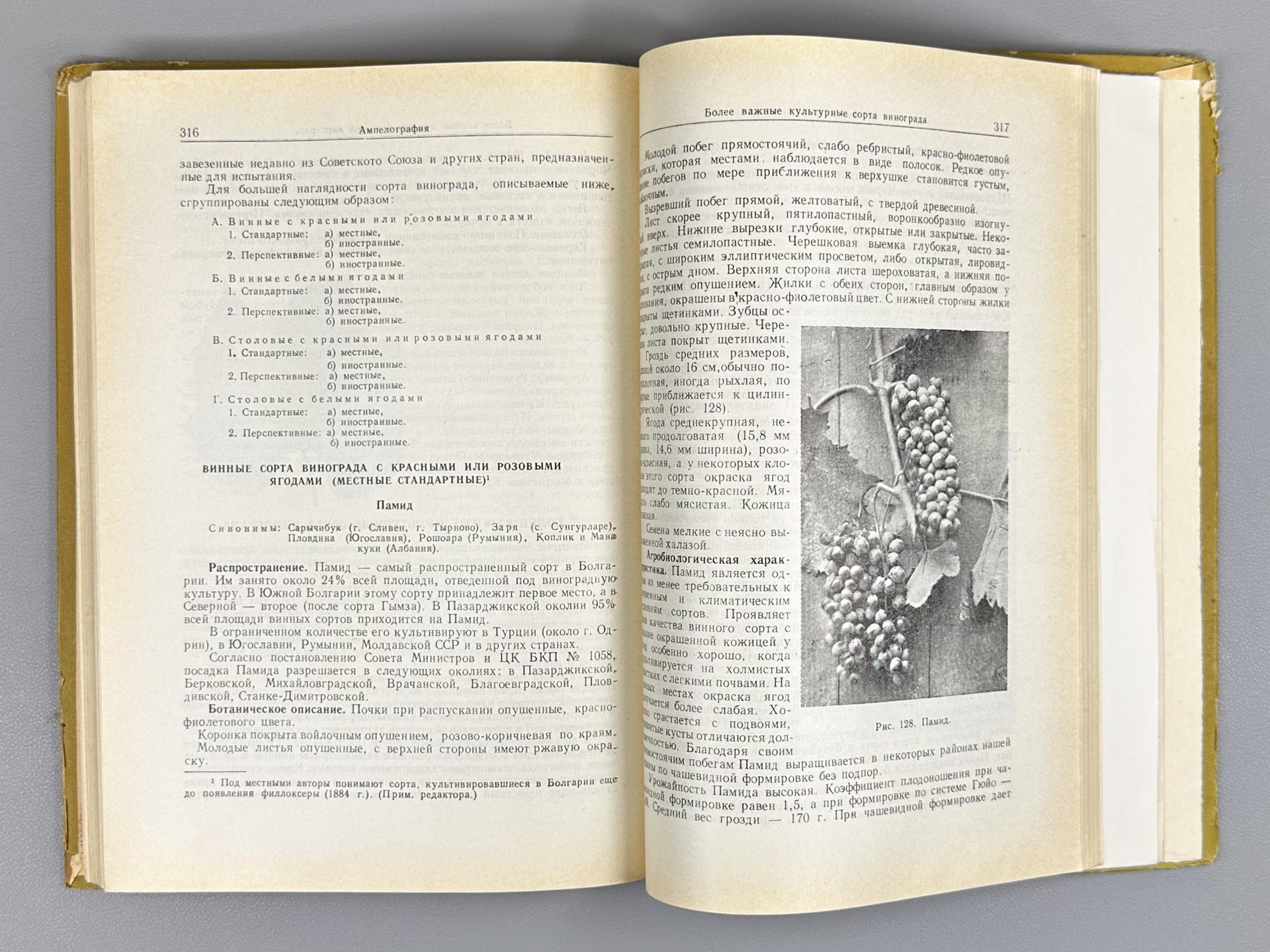 Nedelchev, N., Kondarev, M. Viticulture (Vinogradarstvo), 1959. In Russian.