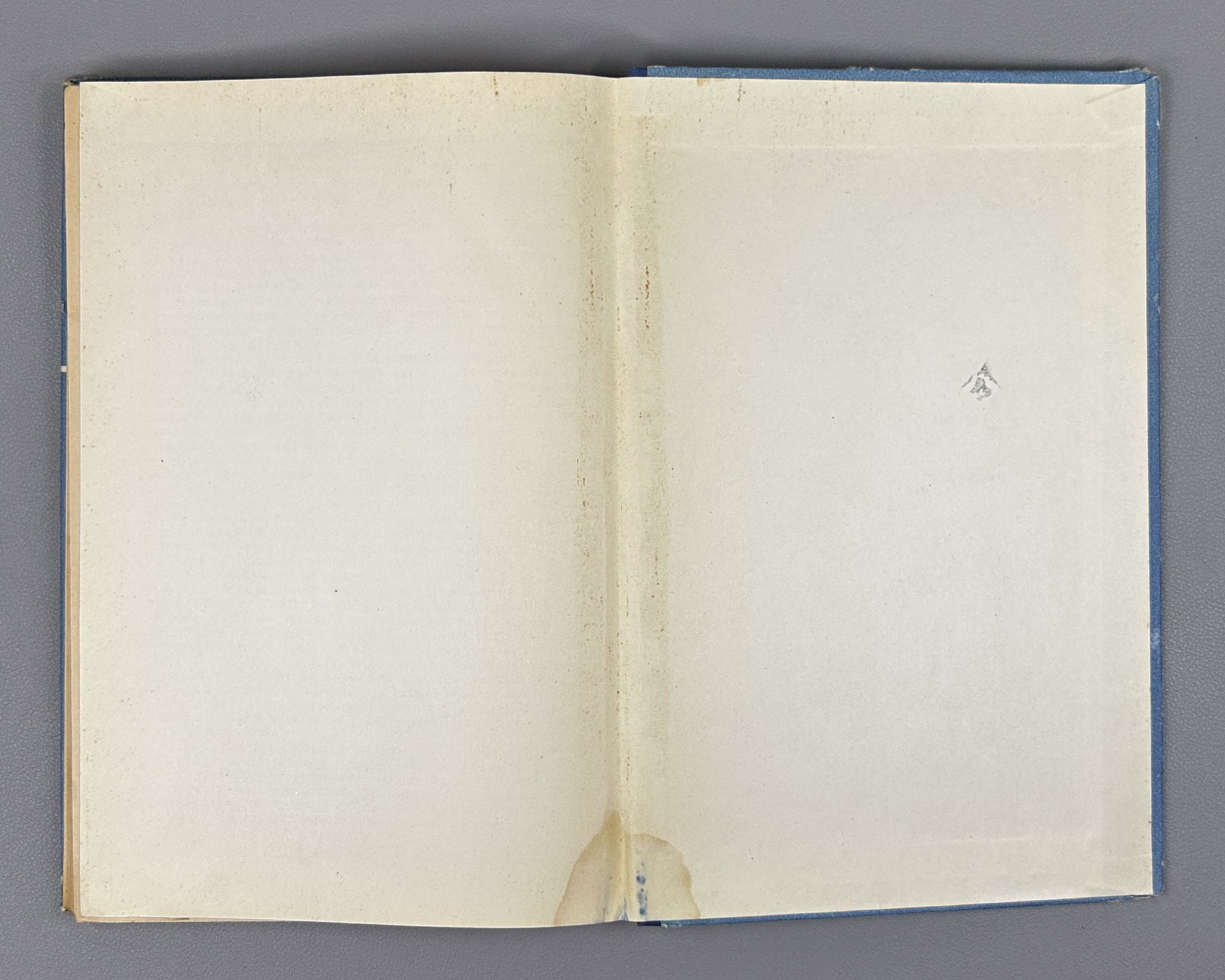 Mayer-Oberplan, M. Clarification and Stabilization of Wine, Champagne, and Sweet Juice (Osvetlenie i stabilizatsiya vina, shampanskogo i sladkogo soka). 1960. First Russian edition.