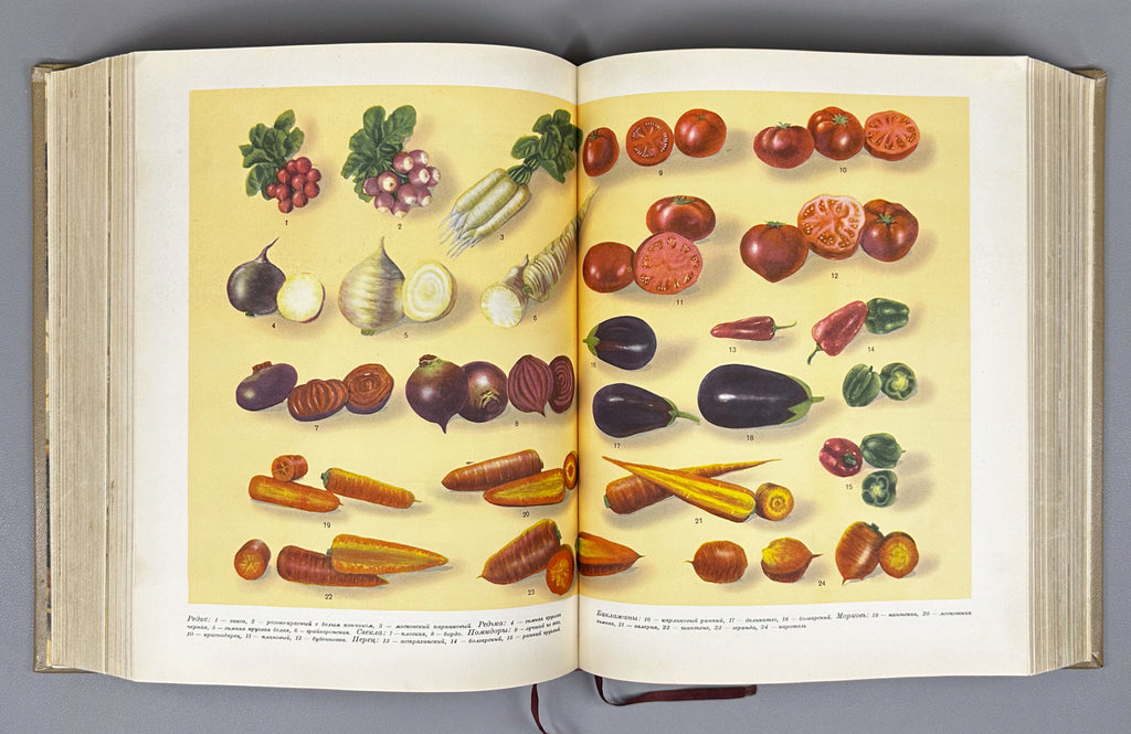 Kulinariya (Culinary Art): A Book for the Chef / edited by M. O. Lifshits. First edition. Moscow, 1955. In Russian.