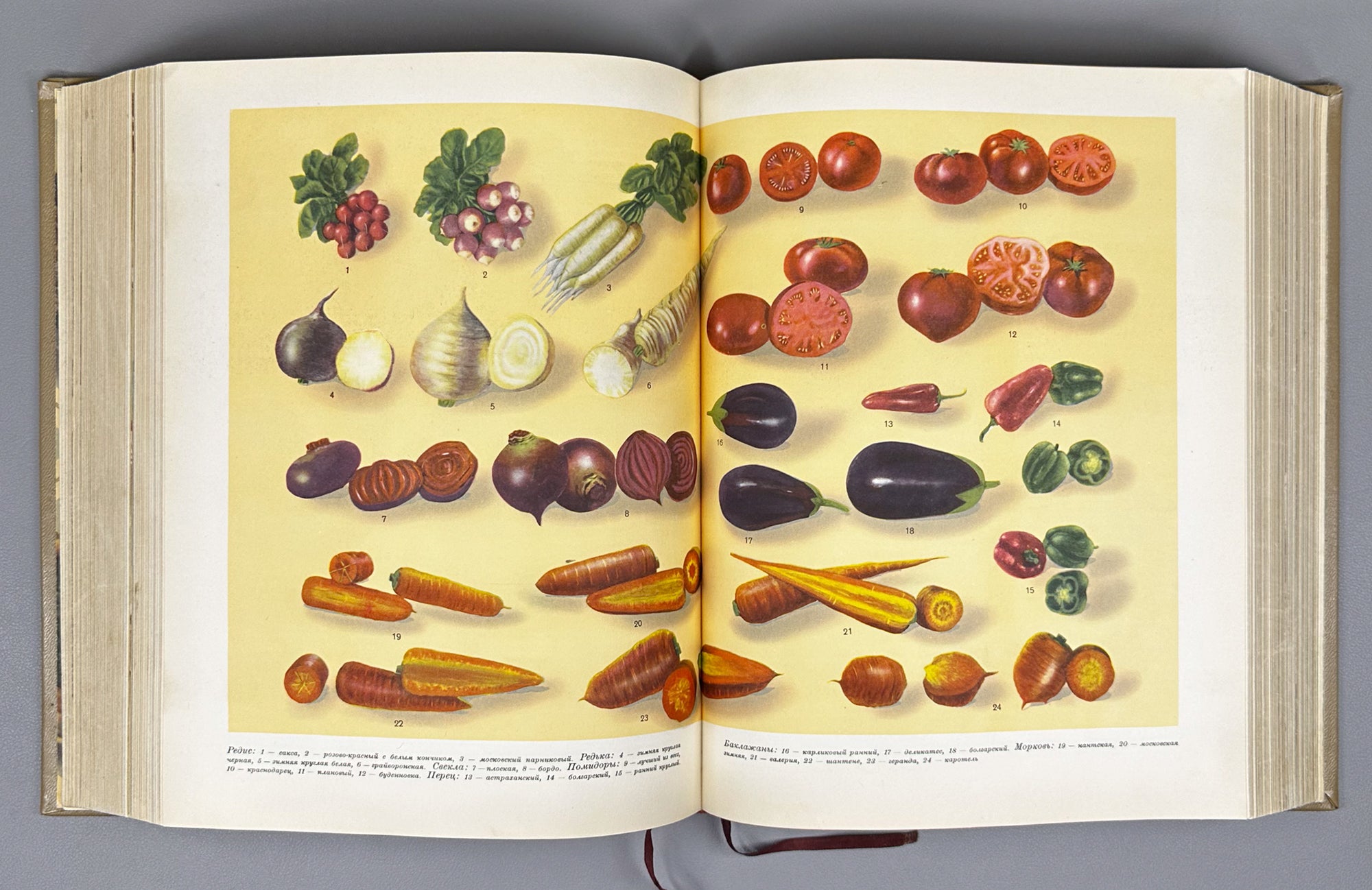Kulinariya (Culinary Art): A Book for the Chef / edited by M. O. Lifshits. First edition. Moscow, 1955. In Russian.