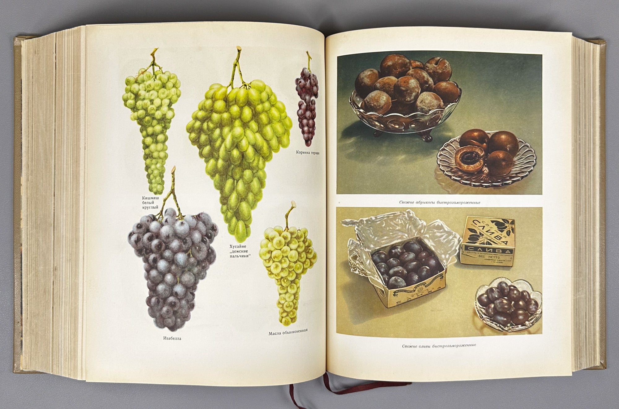 Kulinariya (Culinary Art): A Book for the Chef / edited by M. O. Lifshits. First edition. Moscow, 1955. In Russian.