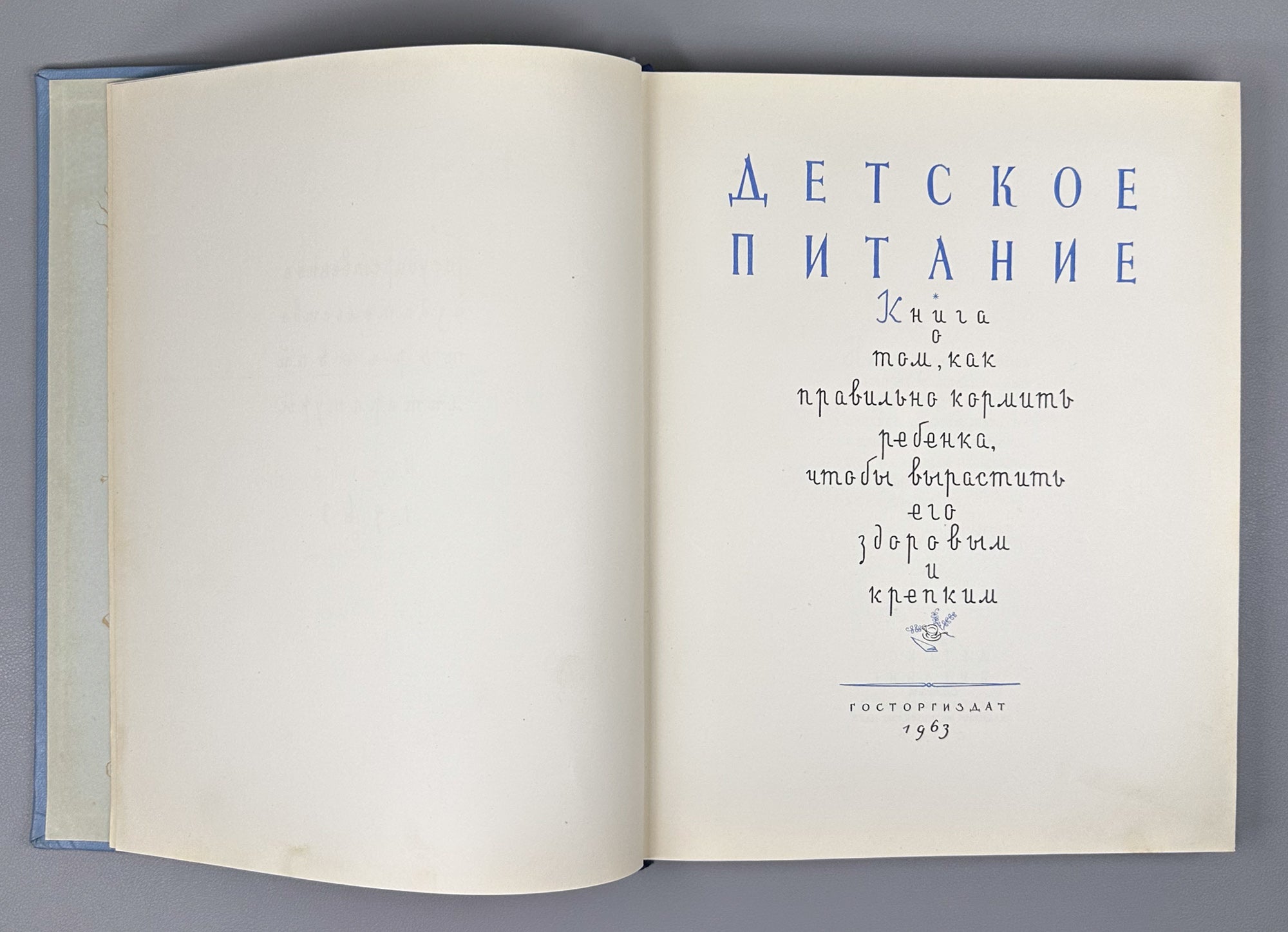 Detskoye Pitanie (Baby and Child Nutrition): A Book on How to Feed Your Child Properly to Raise Him Healthy and Strong, 1963. In Russian.
