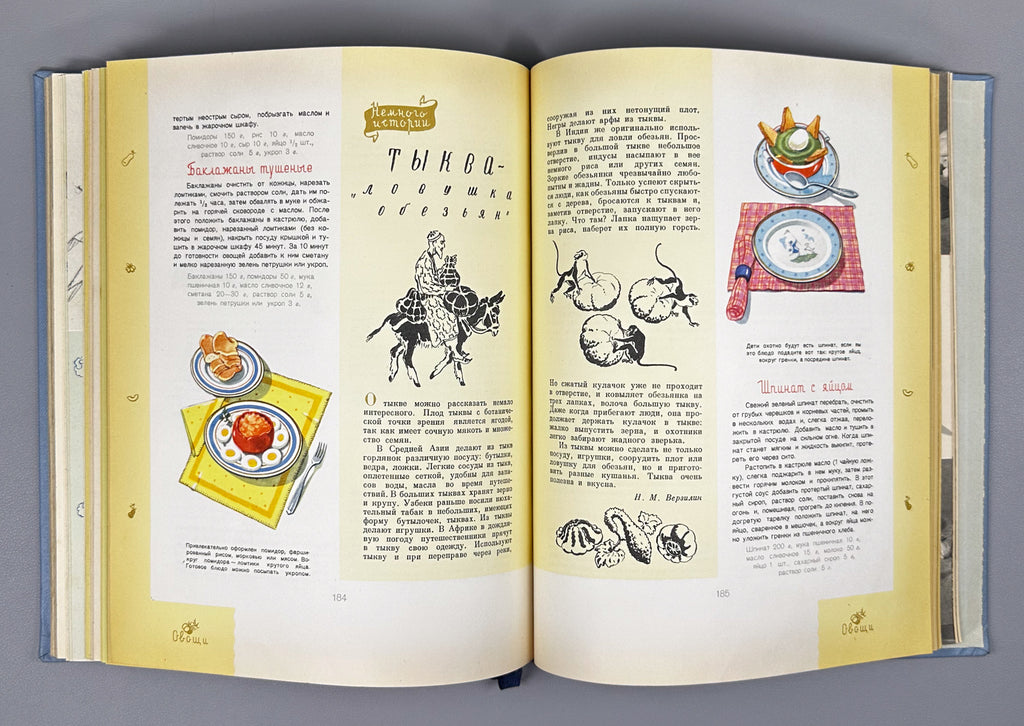 Detskoye Pitanie (Baby and Child Nutrition): A Book on How to Feed Your Child Properly to Raise Him Healthy and Strong, 1963. In Russian.