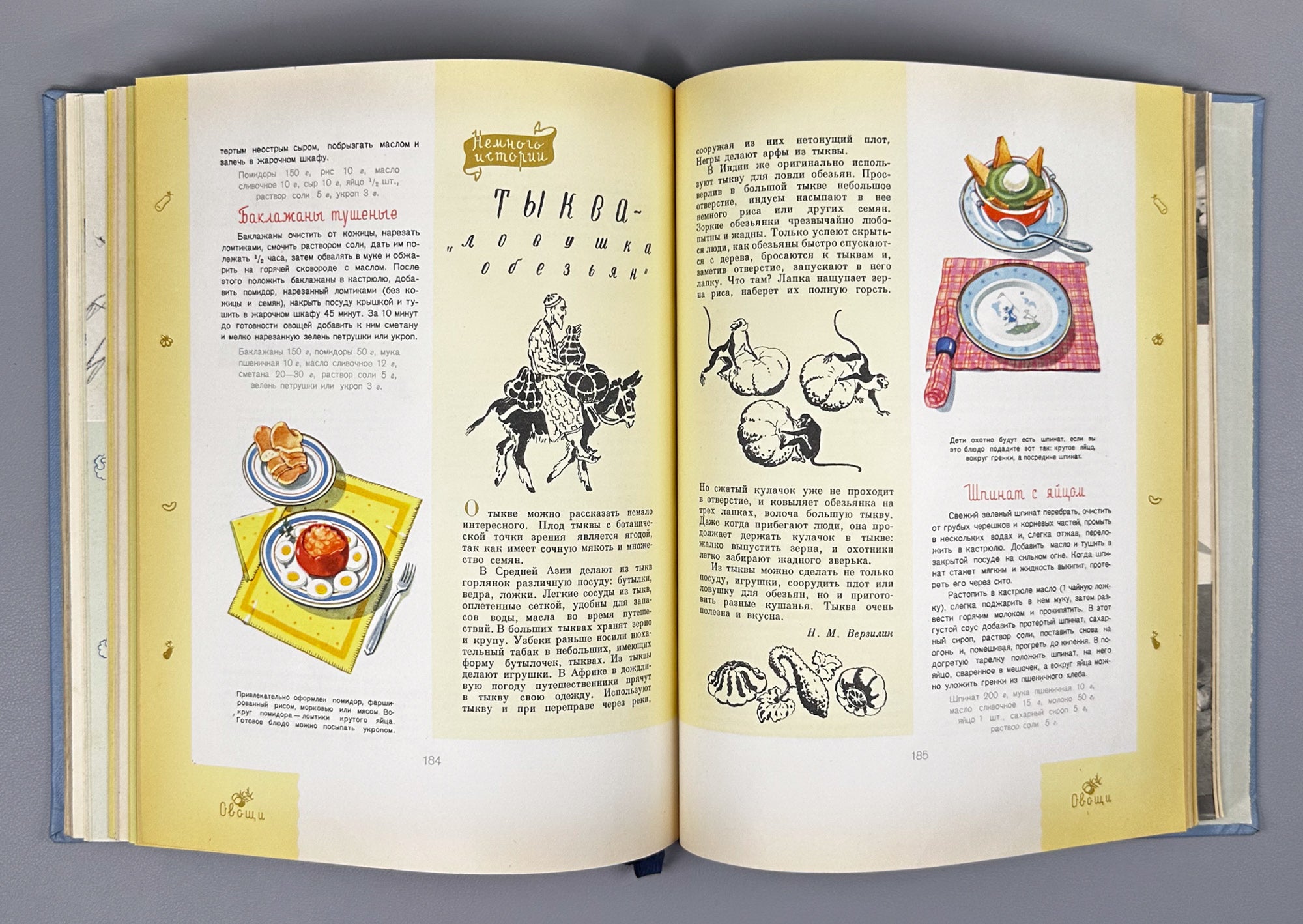 Detskoye Pitanie (Baby and Child Nutrition): A Book on How to Feed Your Child Properly to Raise Him Healthy and Strong, 1963. In Russian.