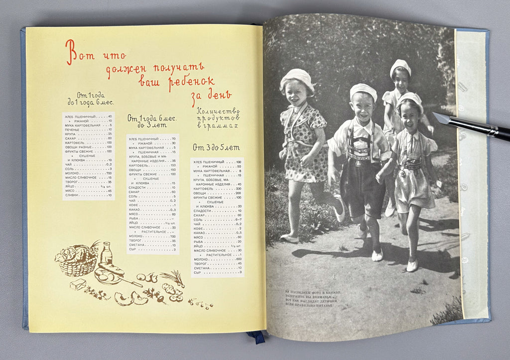 Detskoye Pitanie (Baby and Child Nutrition): A Book on How to Feed Your Child Properly to Raise Him Healthy and Strong, 1963. In Russian.
