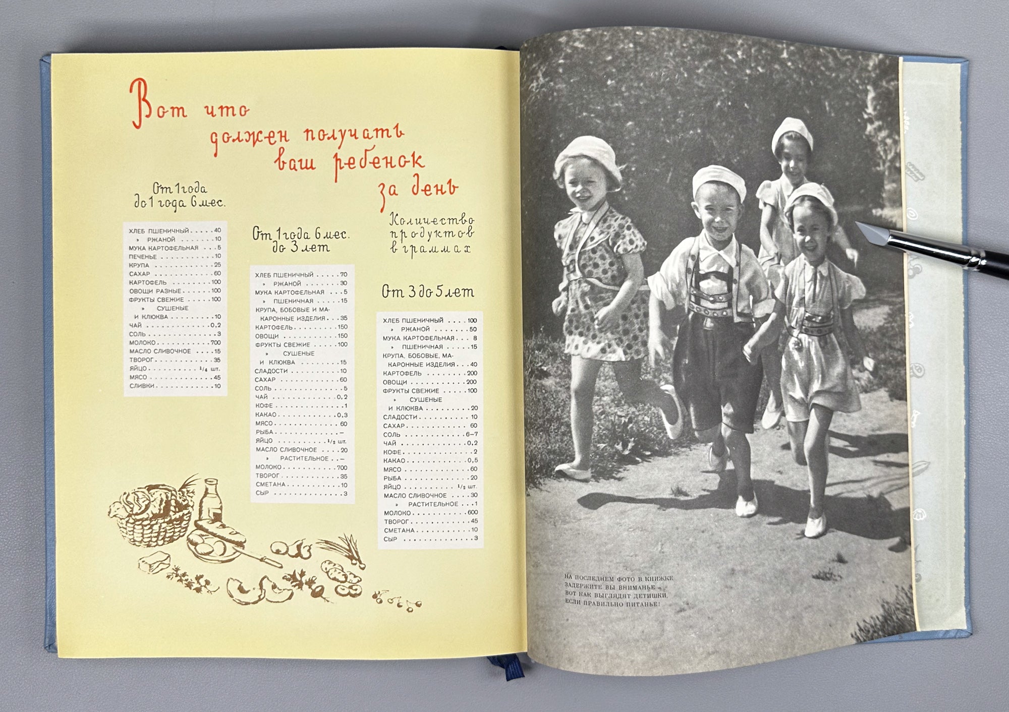 Detskoye Pitanie (Baby and Child Nutrition): A Book on How to Feed Your Child Properly to Raise Him Healthy and Strong, 1963. In Russian.