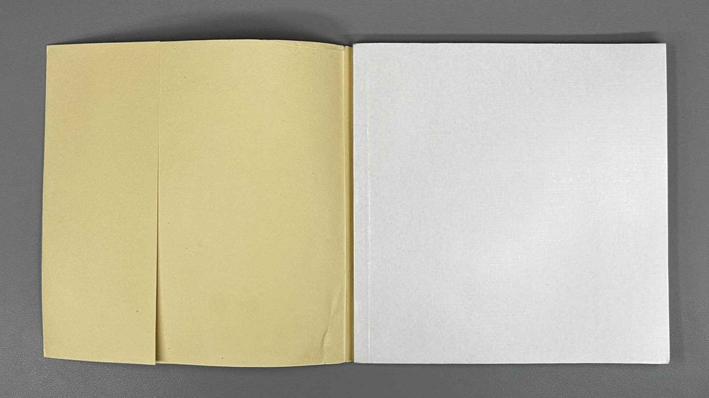 [Signed] Pomerantsev, I. Why Dragonflies? (Pochemu strekozy?). Illustrated by Viktor Pivovarov, 1999. In Russian.