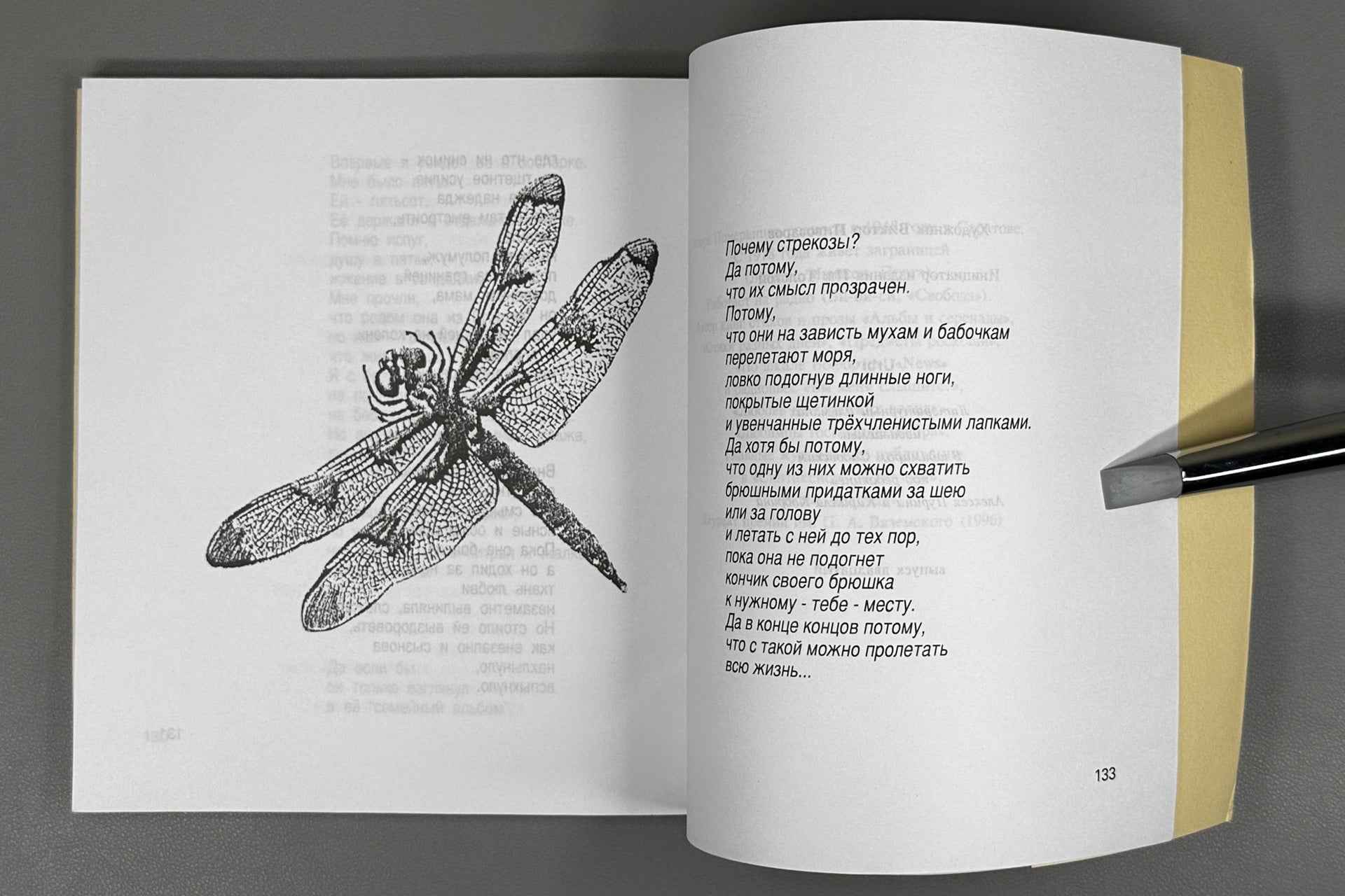 [Signed] Pomerantsev, I. Why Dragonflies? (Pochemu strekozy?). Illustrated by Viktor Pivovarov, 1999. In Russian.