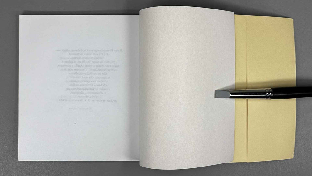 [Signed] Pomerantsev, I. Why Dragonflies? (Pochemu strekozy?). Illustrated by Viktor Pivovarov, 1999. In Russian.