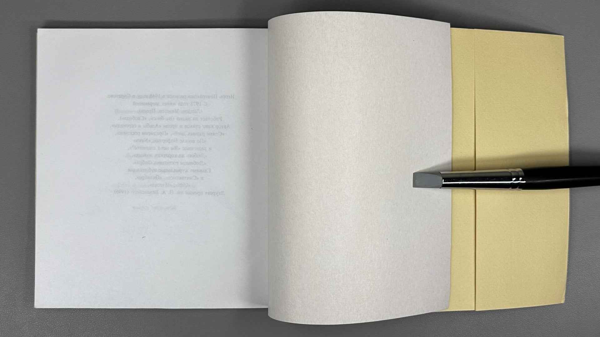 [Signed] Pomerantsev, I. Why Dragonflies? (Pochemu strekozy?). Illustrated by Viktor Pivovarov, 1999. In Russian.