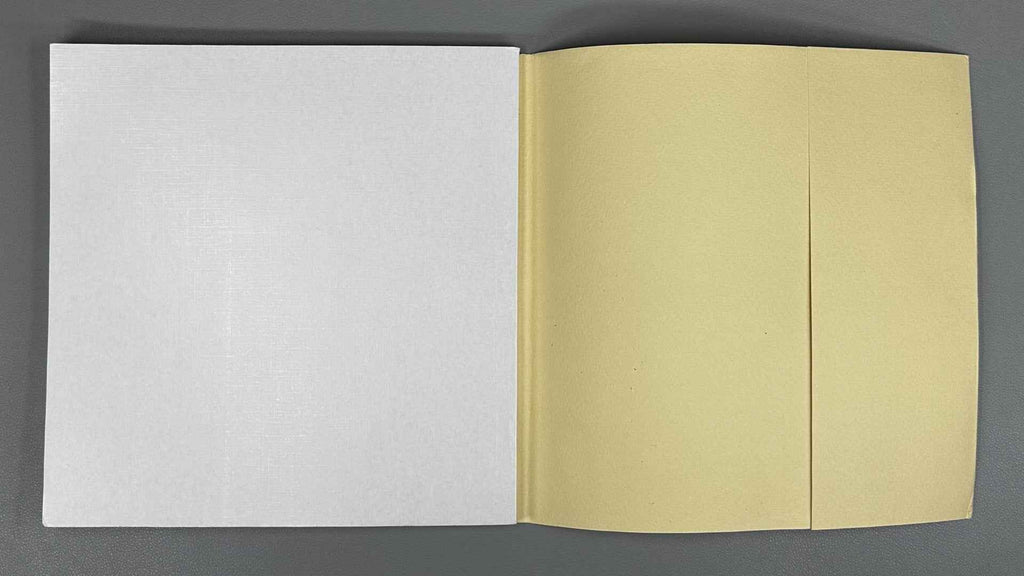 [Signed] Pomerantsev, I. Why Dragonflies? (Pochemu strekozy?). Illustrated by Viktor Pivovarov, 1999. In Russian.