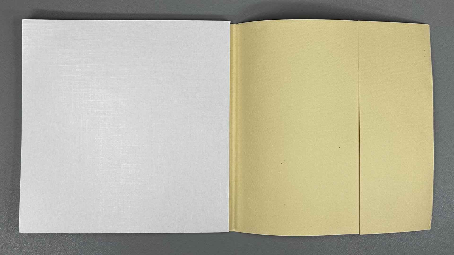 [Signed] Pomerantsev, I. Why Dragonflies? (Pochemu strekozy?). Illustrated by Viktor Pivovarov, 1999. In Russian.