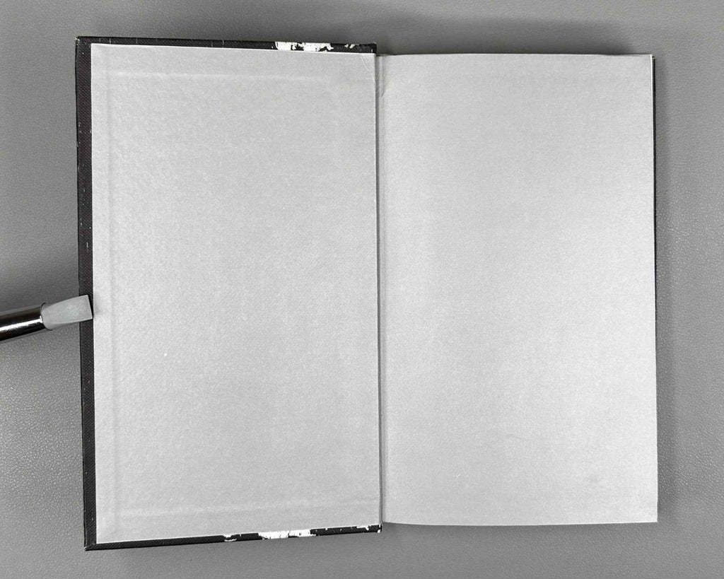 [Signed] Shapiro, A. How the Curtain Fell (Kak zakryvalsya zanaves). Moscow: Novoe Literaturnoe Obozrenie (NLO), 1999. In Russian.