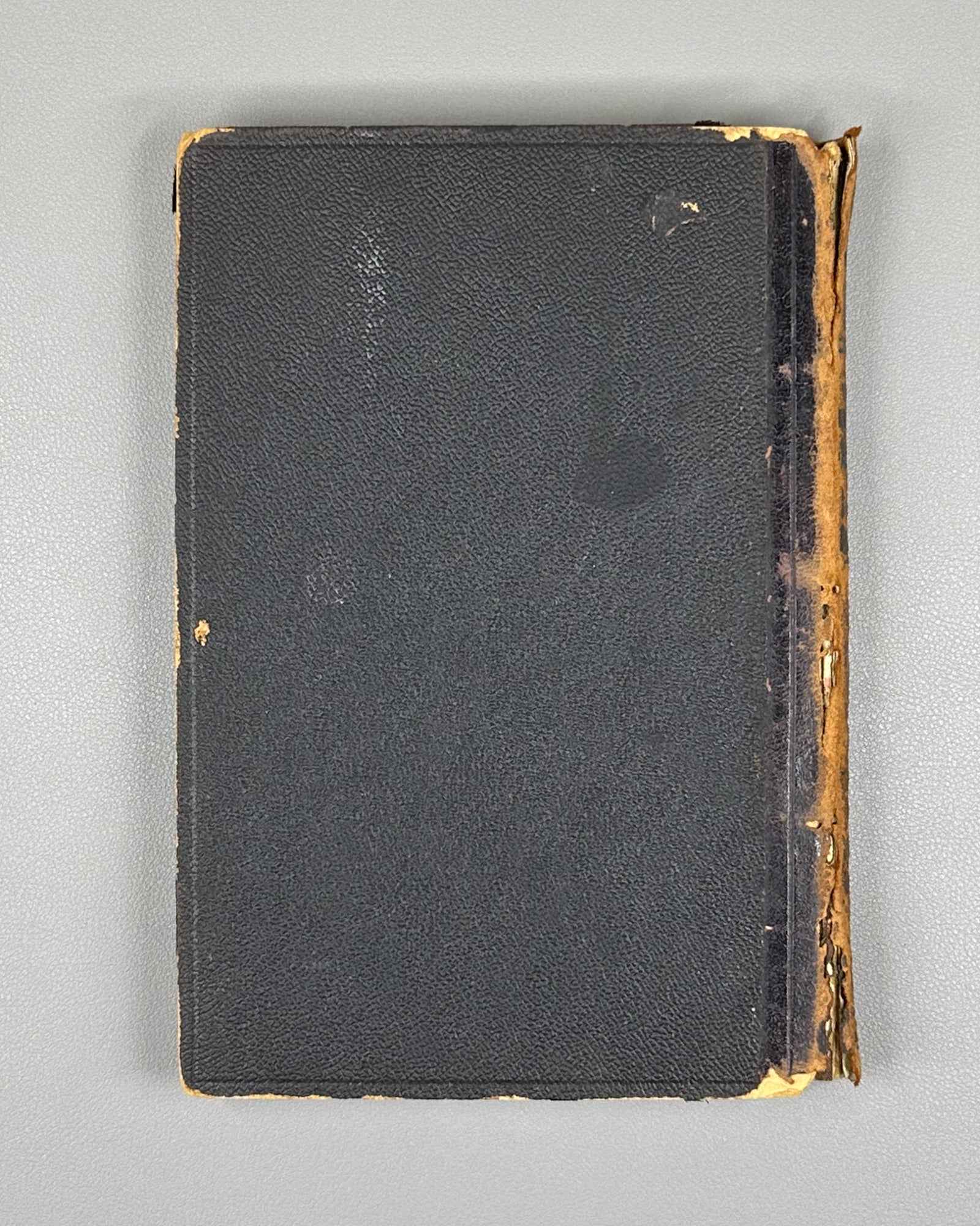 Plekhanov, G. Our Differences (Nashi raznoglasiya). 1906. First legal edition. In Russian.