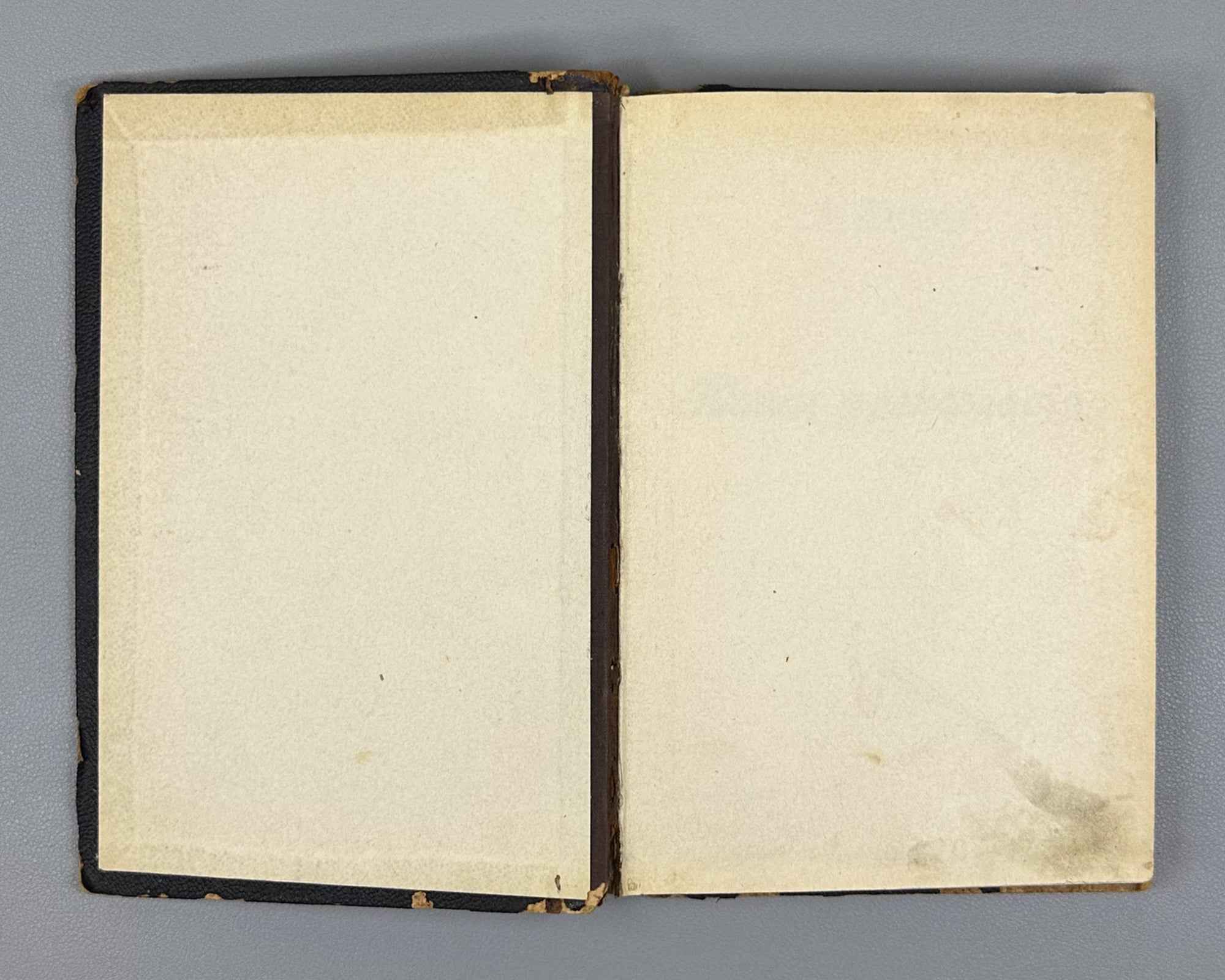 Plekhanov, G. Our Differences (Nashi raznoglasiya). 1906. First legal edition. In Russian.